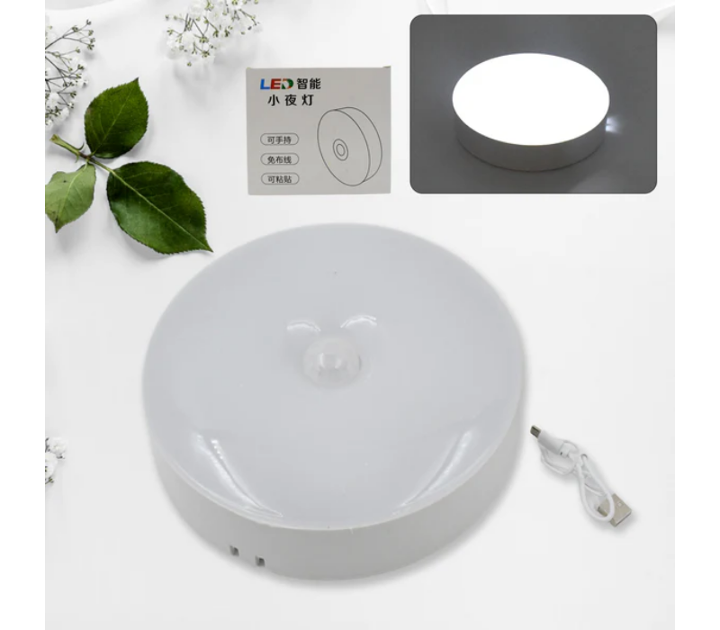 Smart motion sensor light